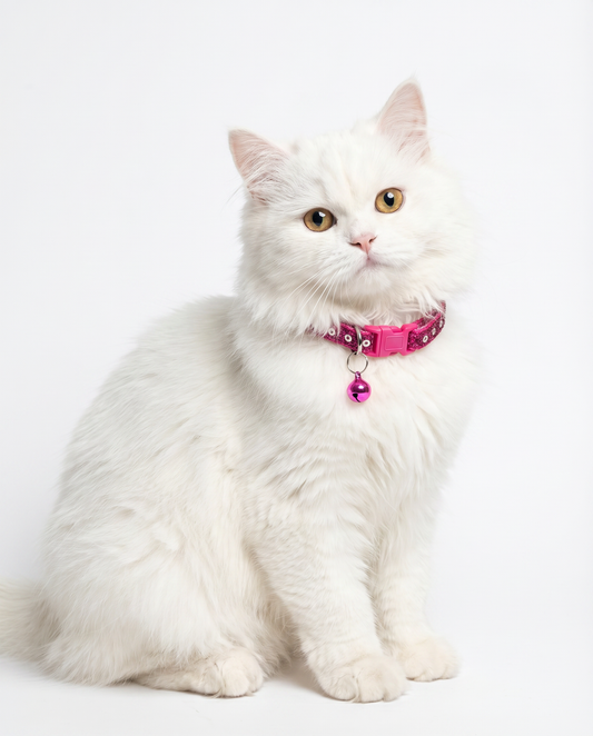 Glitter Sequin Cat Collar with Bell