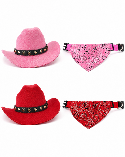 Hat & Bandana Collar Set - Available in Pink & Red