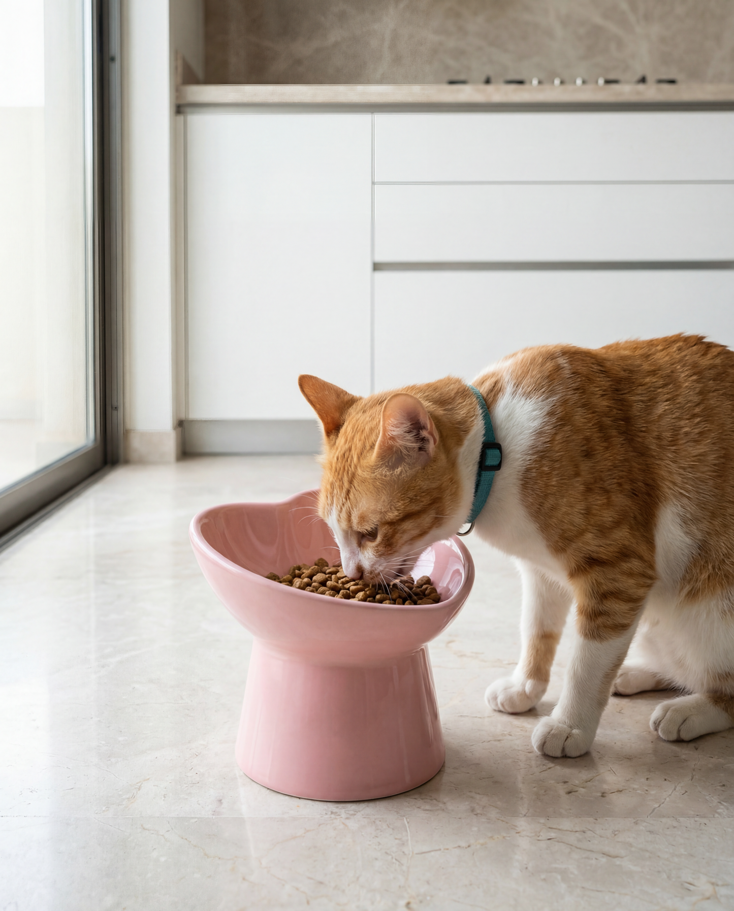 Raised Heart Bowl for Cats (or small dogs)