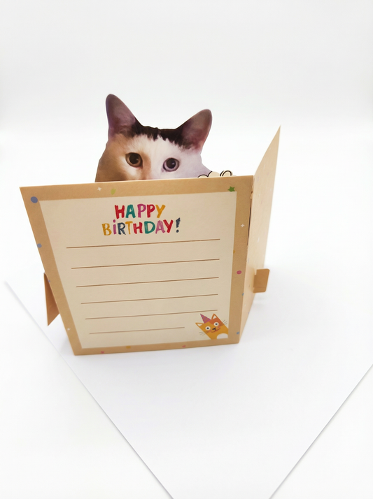 "HUH?" Cat in a Box 3D Pop-Up Card