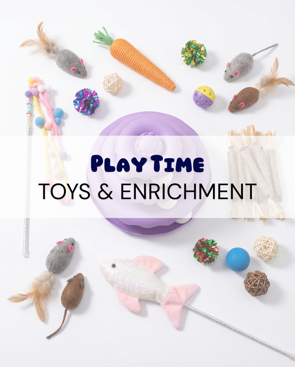 Play Time - Toys & Enrichment