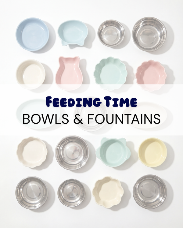 Feeding Time - Bowls, Fountains & More
