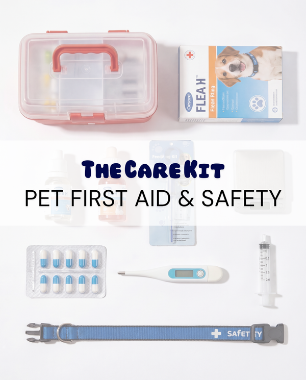 Pet First Aid & Safety