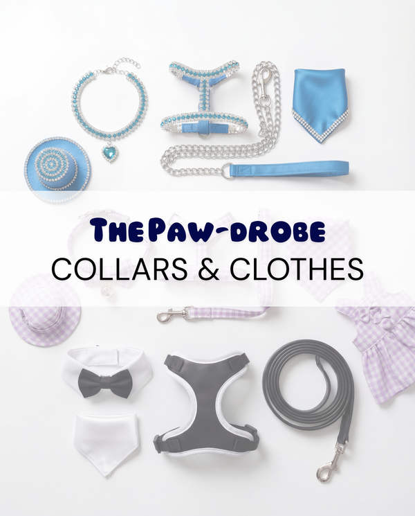 The Paw-drobe - Collars & Clothes