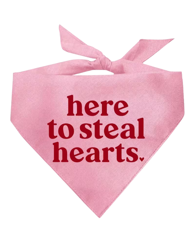 "Here to Steal Hearts" Pet Bandana