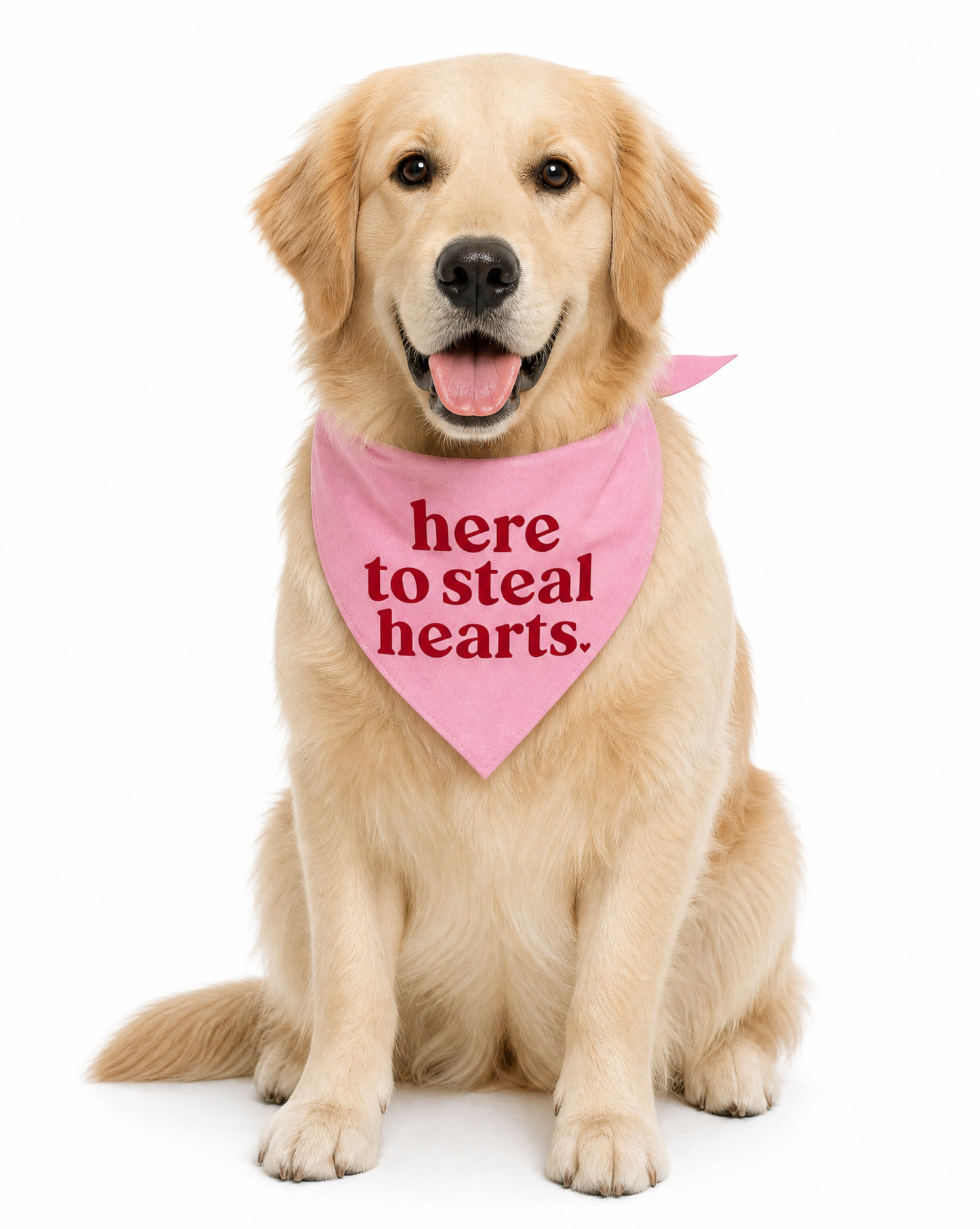 "Here to Steal Hearts" Pet Bandana