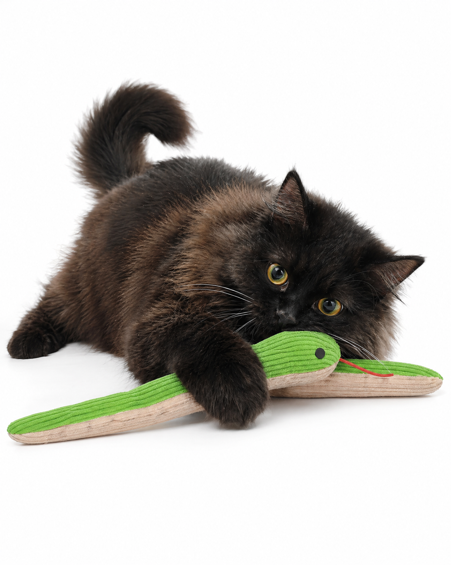 Crinkle Snake Cat Toy with Catnip