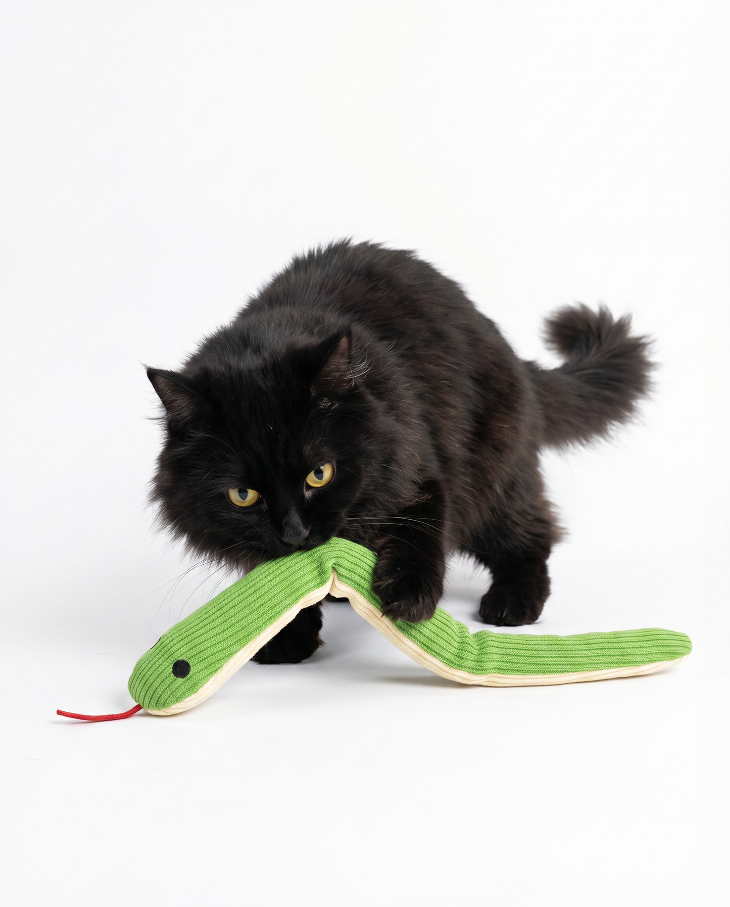 Crinkle Snake Cat Toy with Catnip