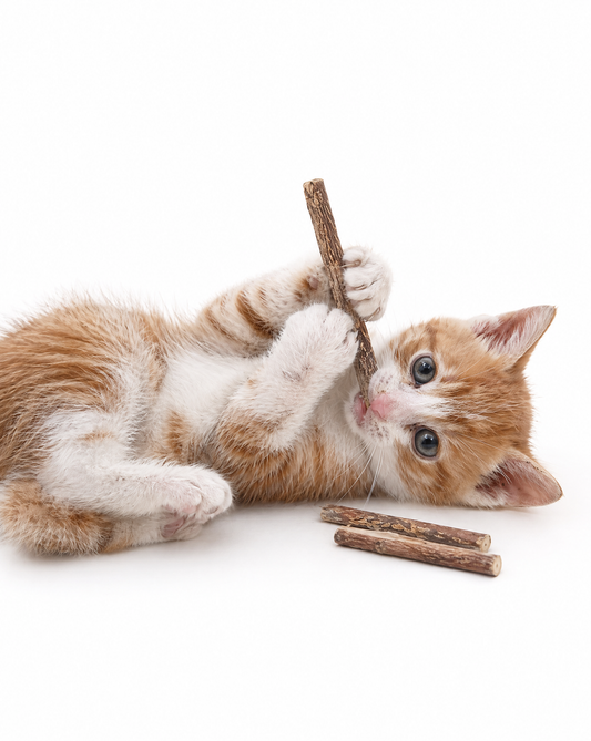 Silvervine Chew Sticks for Cats — Pack of 20