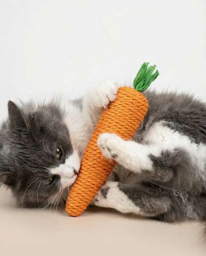 Sisal Rope Carrot Cat Kick & Scratch Toy — 16cm
