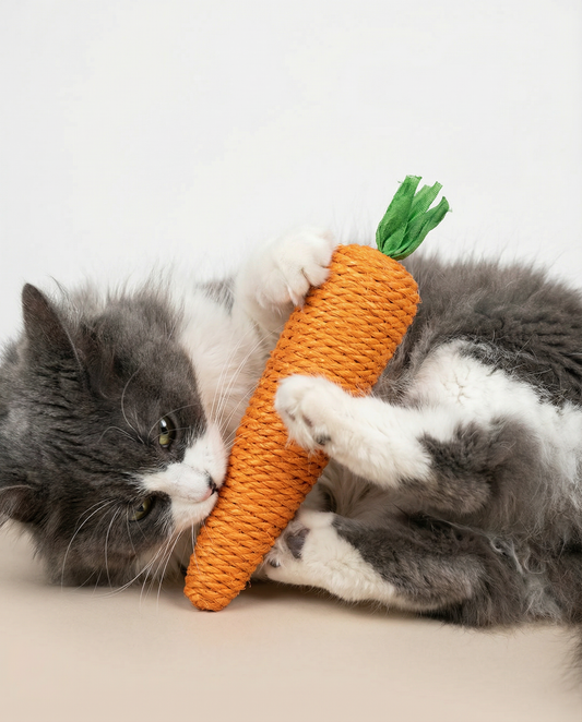Sisal Rope Carrot Cat Kick & Scratch Toy — 16cm