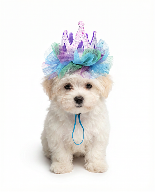 Glitter Tulle Pet Crown