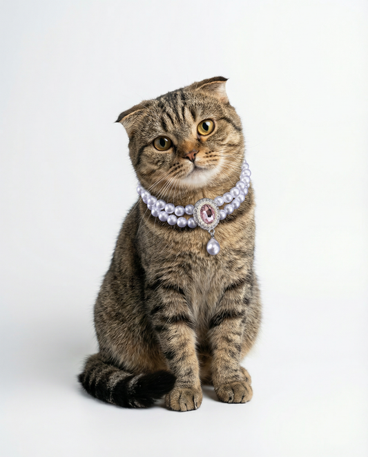 Faux Pearl & Gem Cat Collar Necklace