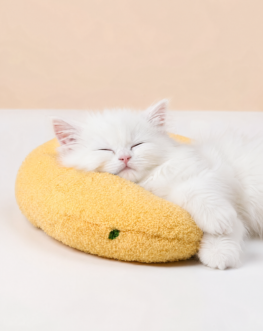 Half Moon Cat Comfort Pillow
