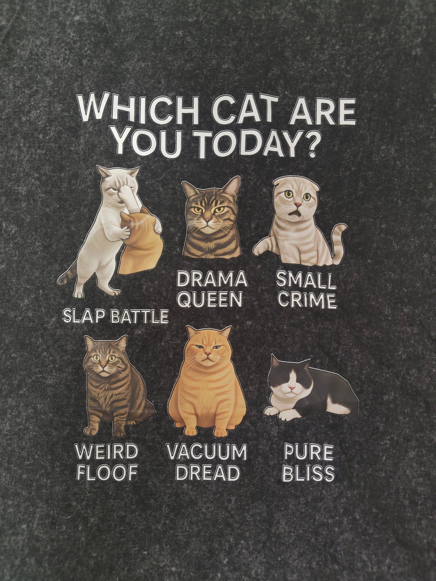 "Which Cat Are You Today?" Unisex Tee