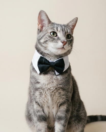 Cat and Dog Tuxedo Bow Tie Collar