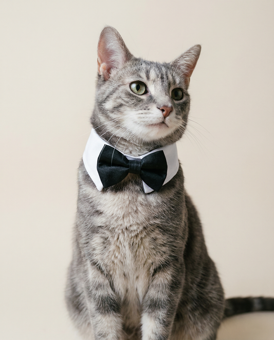 Cat and Dog Tuxedo Bow Tie Collar