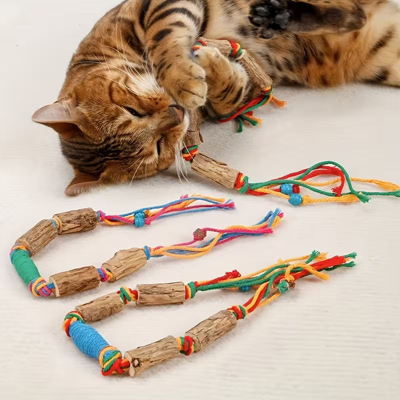 Cat playing with colorful catnip toys on a white surface