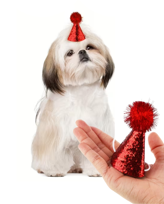 Glitter Pom Pom Pet Party Hat - 5 pieces