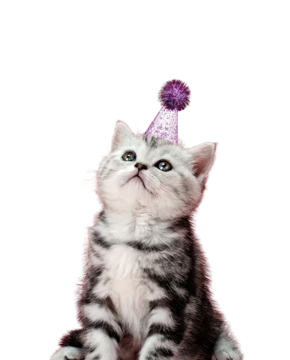 Glitter Pom Pom Pet Party Hat - 5 pieces